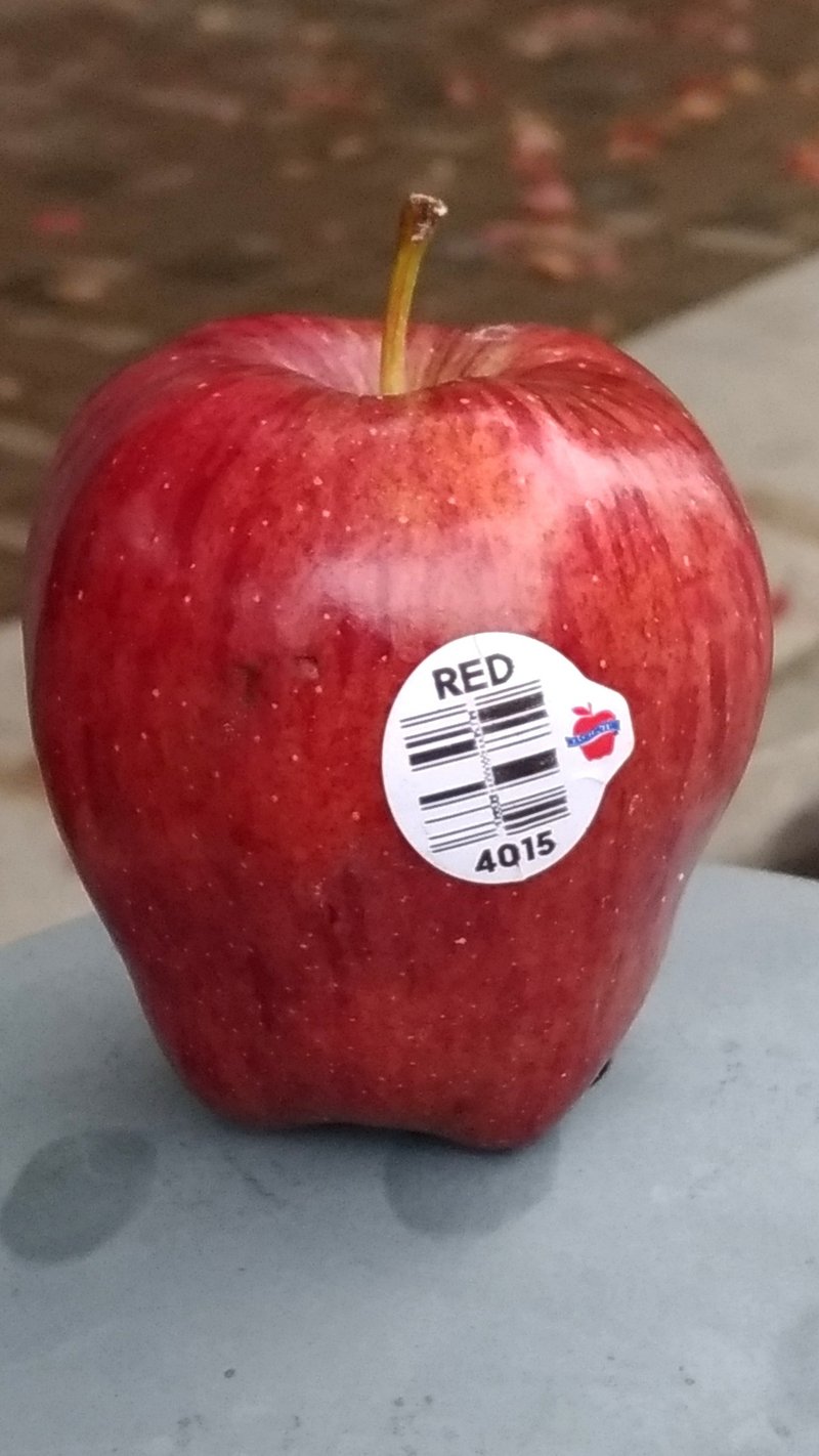 又ちょこんと乗っていました 2 夏は 秋は 落とし物 すー Note