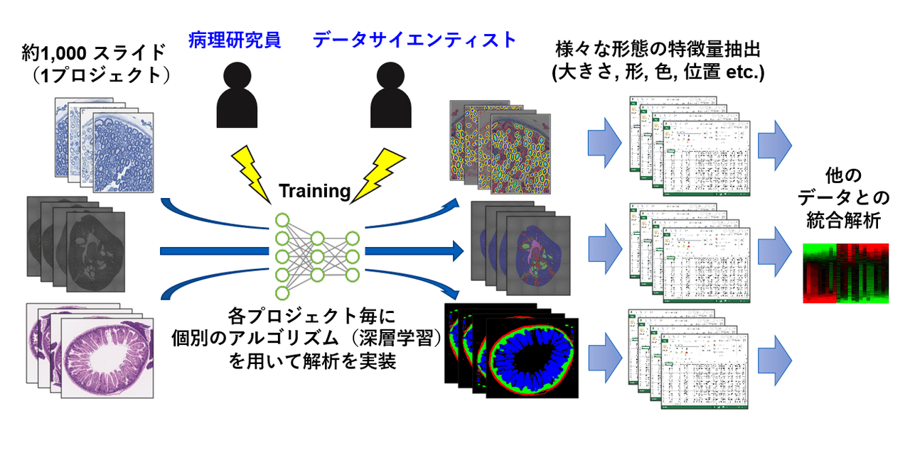 新薬開発プロセスに革新を。AI×創薬に挑む、鎌倉研究所のデータ 新薬開発プロセスに革新を。AI×創薬に挑む、鎌倉研究所のデータ