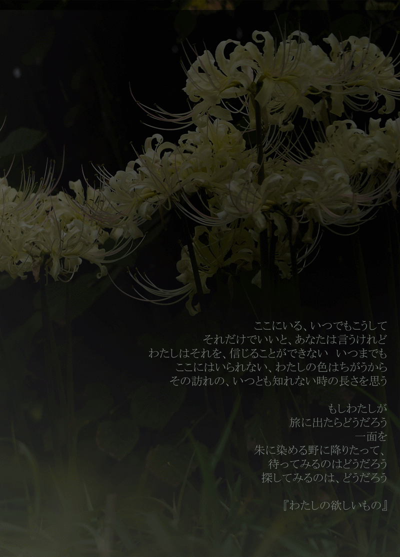 わたしの欲しいもの ポエムのある暮らし だいすーけ Note
