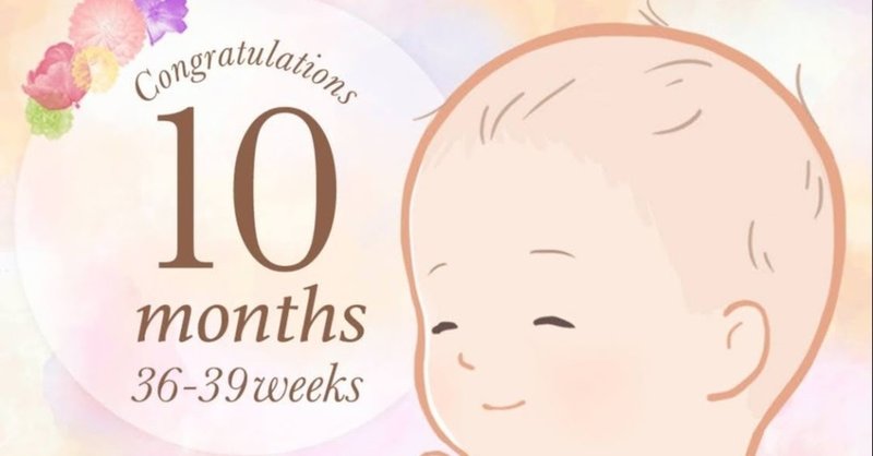 妊娠10か月 ついに臨月 はむやま みみ Note 妊娠10か月 ついに臨月 はむやま みみ Note