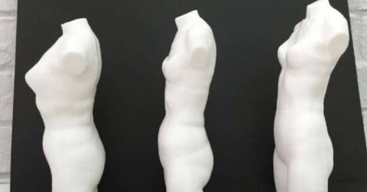 骨格診断 結局勝つのは生地量 勉強してみた Re Poris Fukuya Note