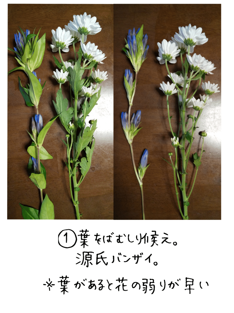 リンドウの生け方 ゆすら Note