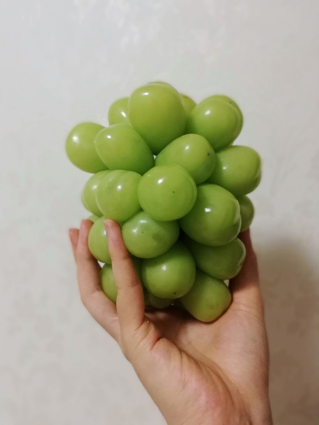 幸せを凝縮した緑の宝石 ／ 諏訪 櫻さん｜TSUMORI -土地と想像力の