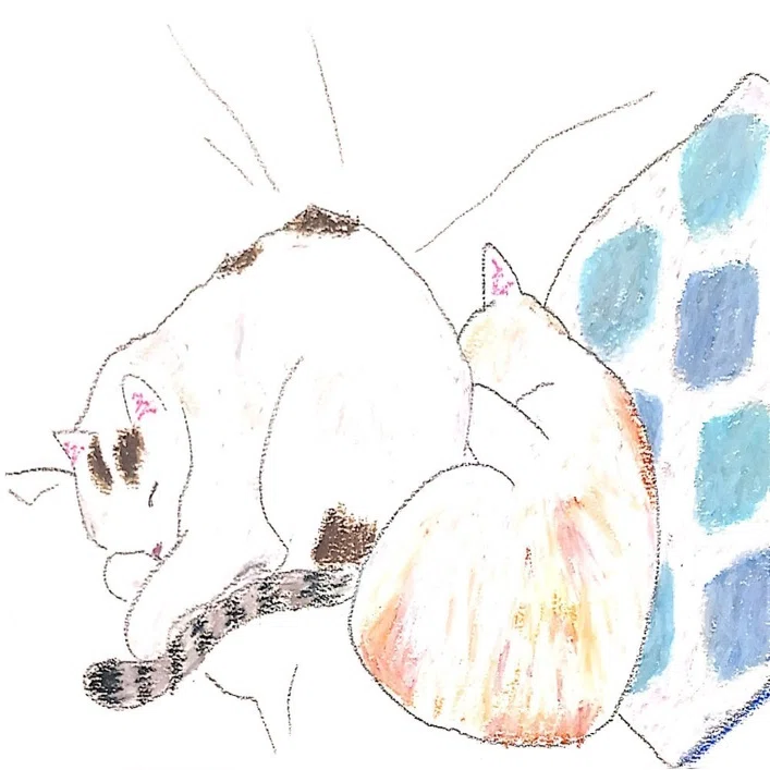 パレットクラブ日記 第7回 網中いづる先生の課題 家にあるものを描く 床山すずり Note