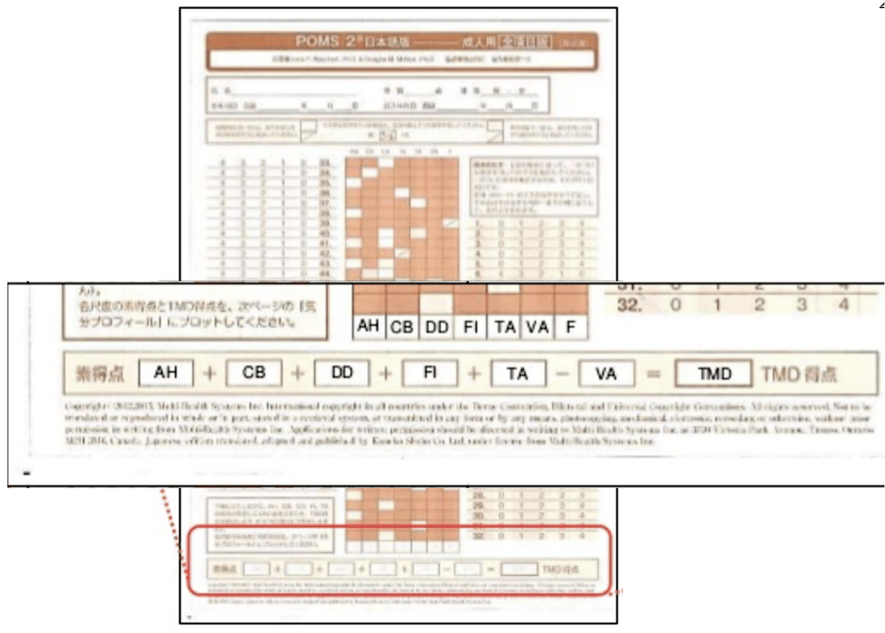 POMS2 日本語版マニュアル