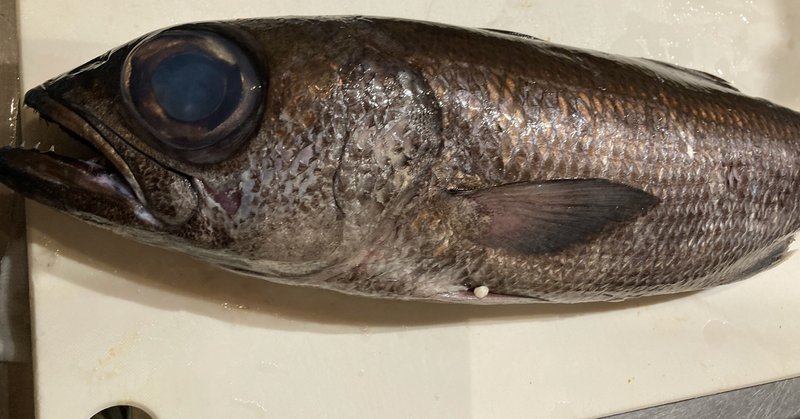 【料理セミナー】白身魚のポワレ