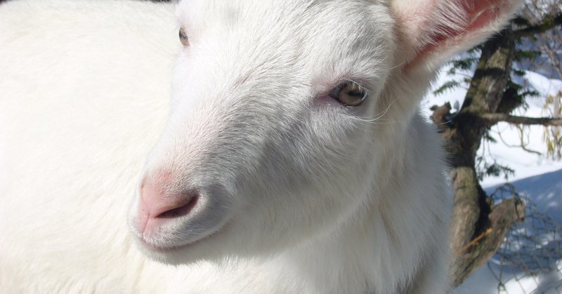 あとは寝るだけの時間 の新着タグ記事一覧 Note つくる つながる とどける