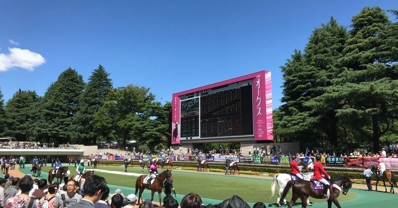 競馬の歴史」を学ぶ ～牝馬3冠馬 編～｜y=Rx