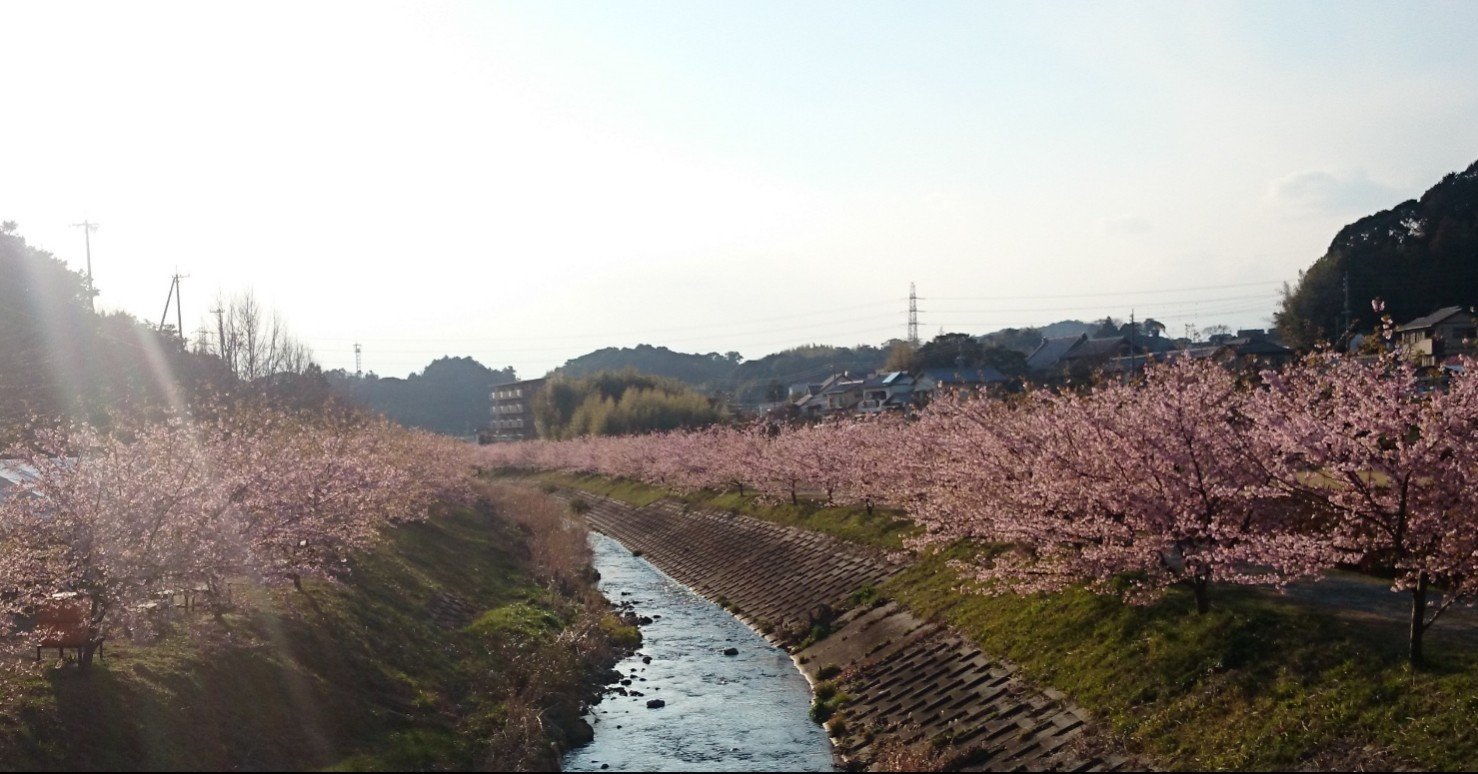 俳句手帖にある季語で一句 4月 紫雲英 Note