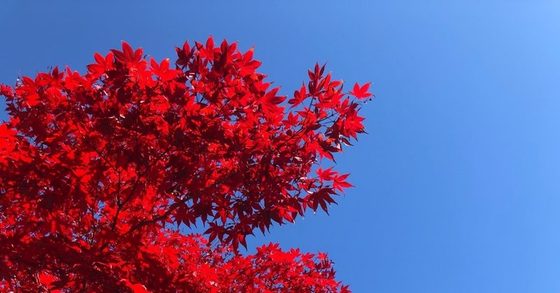 ■太陽蠍座へ（１０月２３日８時１分）