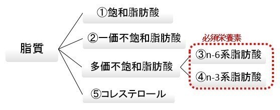 脂質は悪者か Tany Note