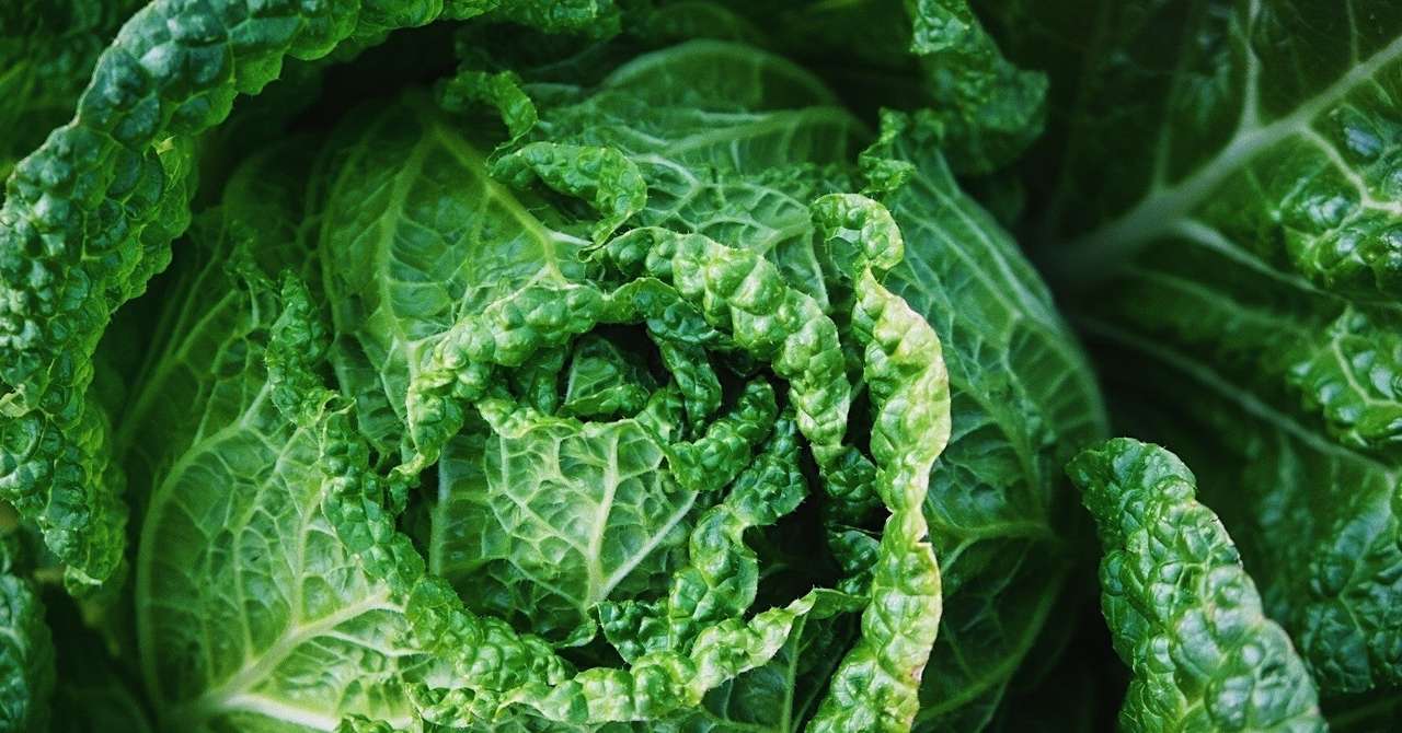 女の子の名前に 菜 をすすめない訳 呉命名 Note