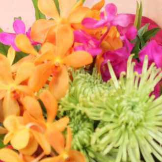 kikimimi|•'-'•)و✧