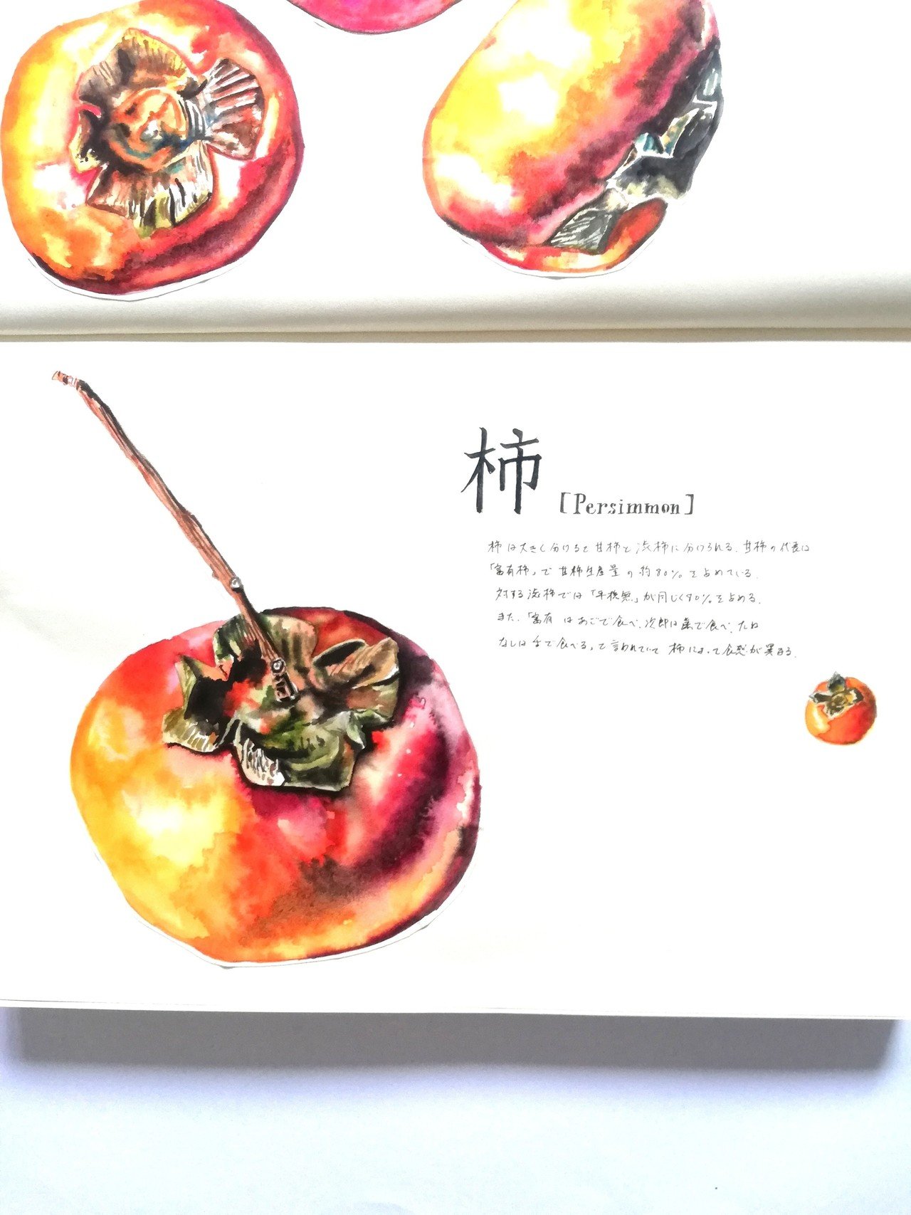 飽き性の私が唯一続いているノート 水彩イラストノート を紹介します きのっこ 水彩イラスト Note 飽き性の私が唯一続いているノート 水彩イラストノート を紹介します きのっこ 水彩イラスト Note