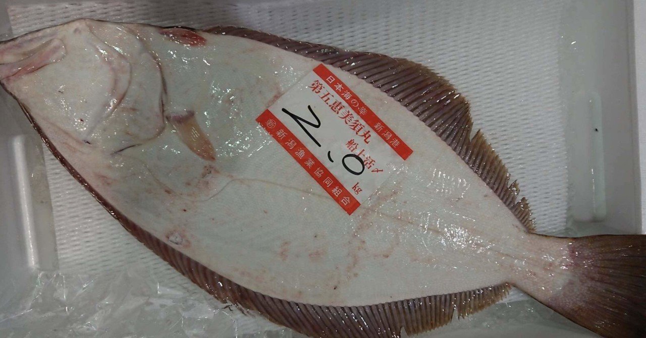 鮃 の新着タグ記事一覧 Note つくる つながる とどける 鮃 の新着タグ記事一覧 Note つくる つながる とどける