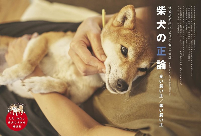 なにせ柴犬が大好きなので 発売中の 柴犬ライフ 秋号 をダイジェストでご紹介 Kkベストセラーズ なにせ柴犬が大好きなので 発売中の 柴犬ライフ 秋号 をダイジェストでご紹介 Kkベストセラーズ