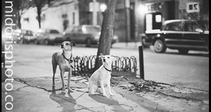 Black & White「PARIS」 Midori S. Inoue 作 NY/Tokyo Photographer Midori S. Inoue｜note