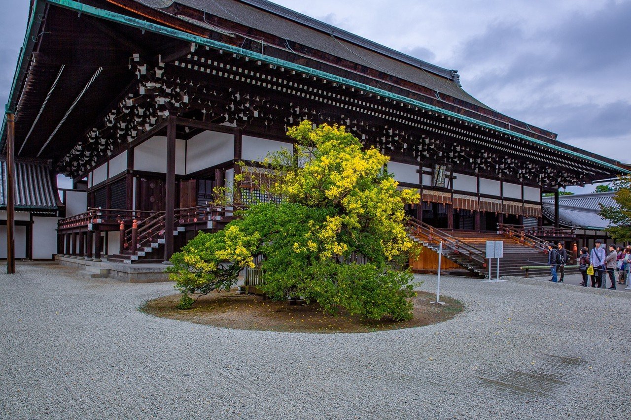 紅葉の 京都御所 Zenpaku Note 紅葉の 京都御所 Zenpaku Note