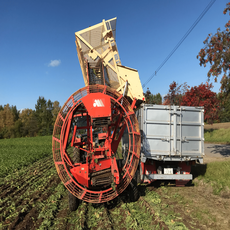 ビートの機械掘りが始まりました｜吉田拓実｜さいこうファーム OKHOTSK