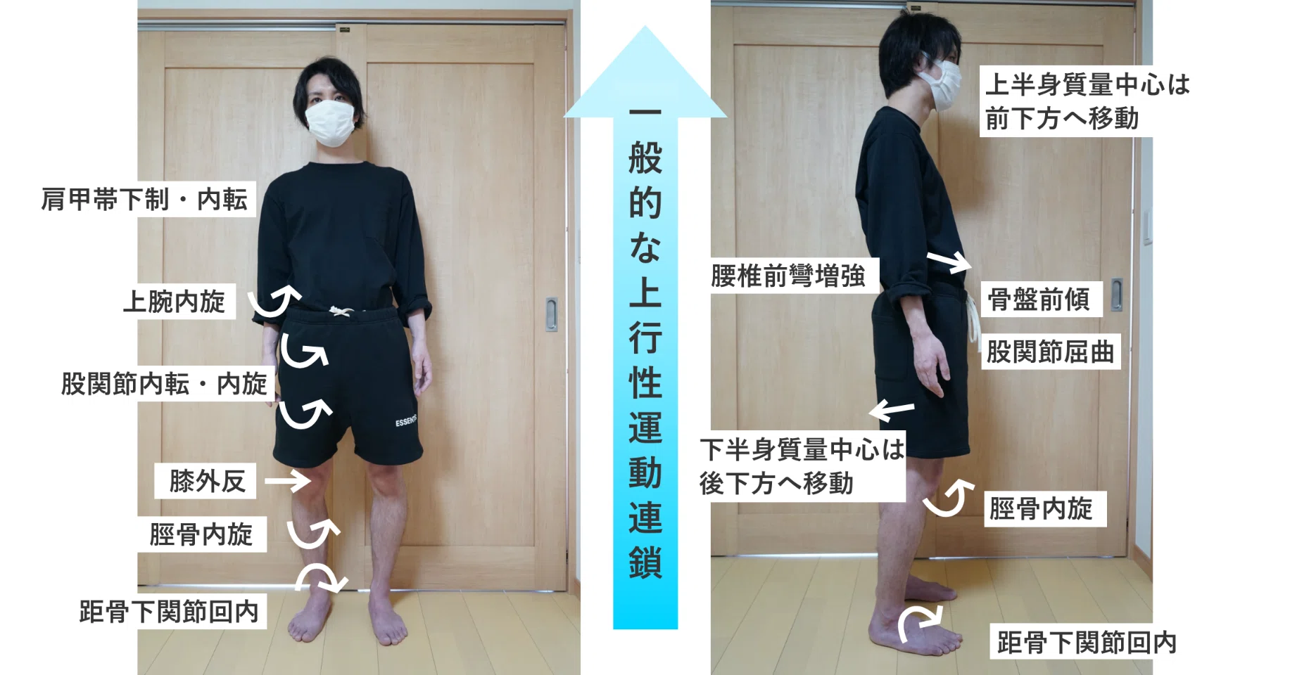 本 運動連鎖インソール 理学療法から生まれたインソールを学ぶ