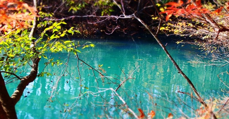 沼にハマる とは正統的周辺参加である 難しいことを楽しく言い換える 瀬沼希望 Note
