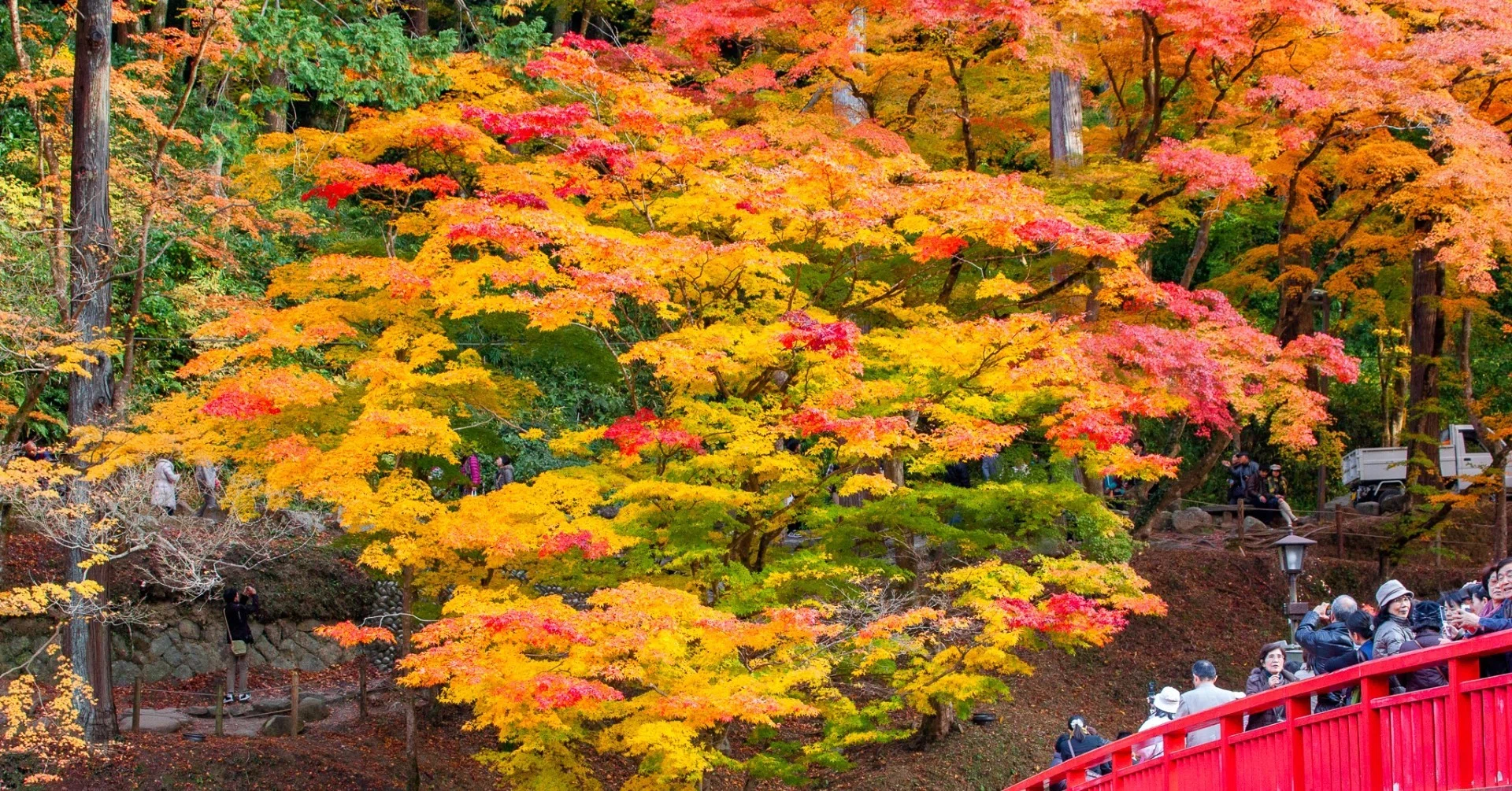 日本一の紅葉スポット「香嵐渓」｜Zenpaku