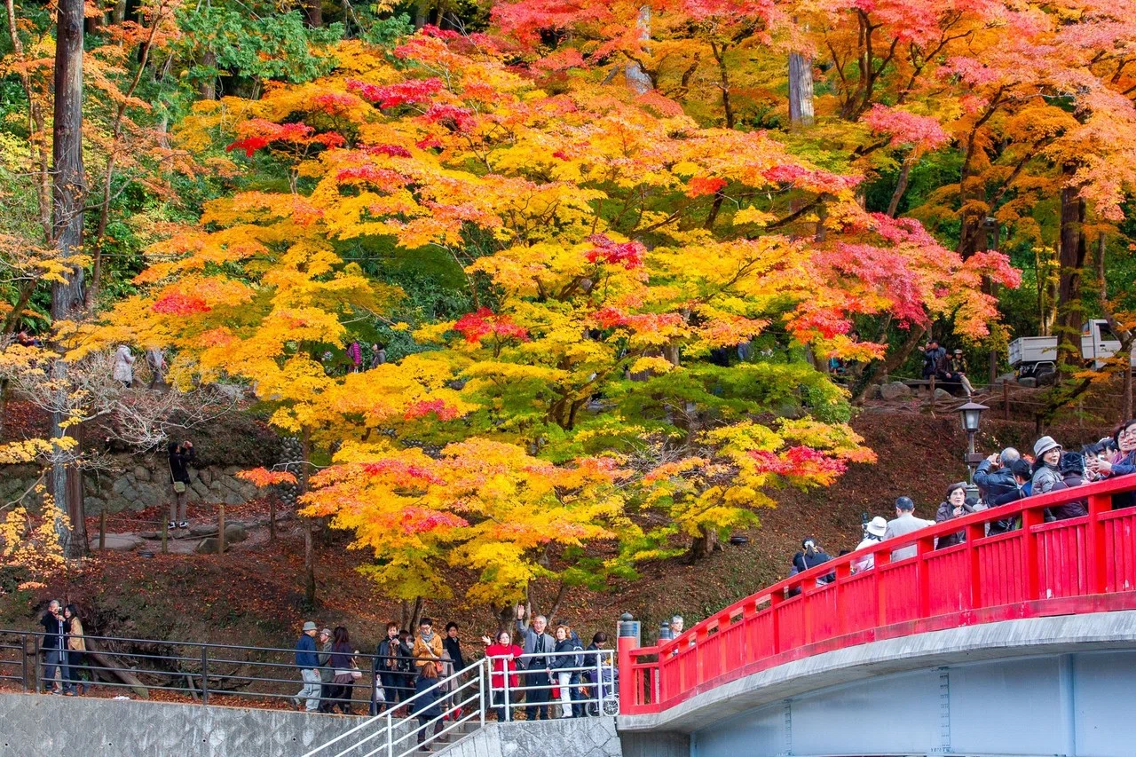 日本一の紅葉スポット「香嵐渓」｜Zenpaku