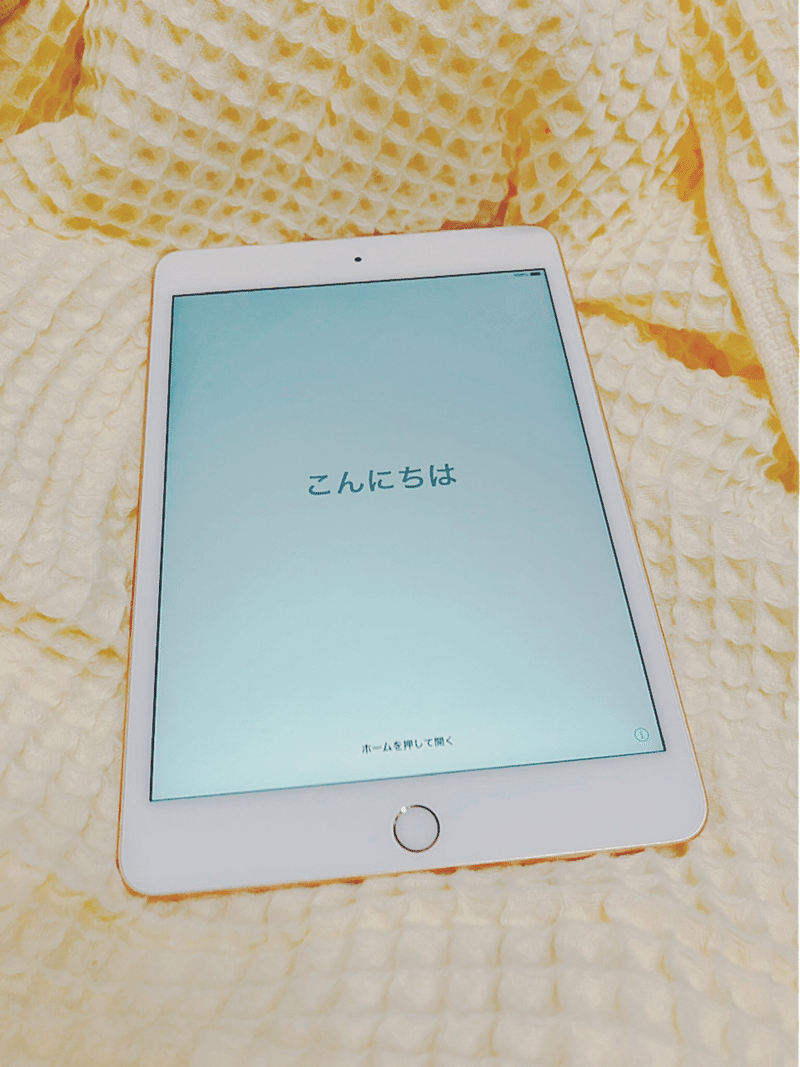 Ipad Mini5 が良すぎて容量違いで買い替えた話 Ayu Note