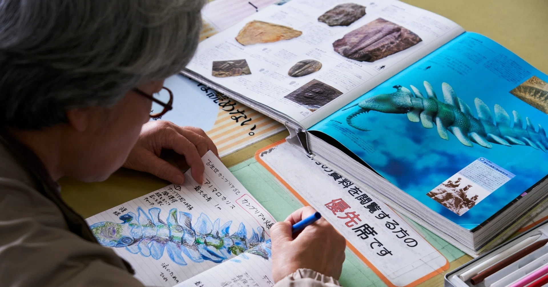 対話が生まれる場としての図書館 in デンマーク 【プロフェッショナル