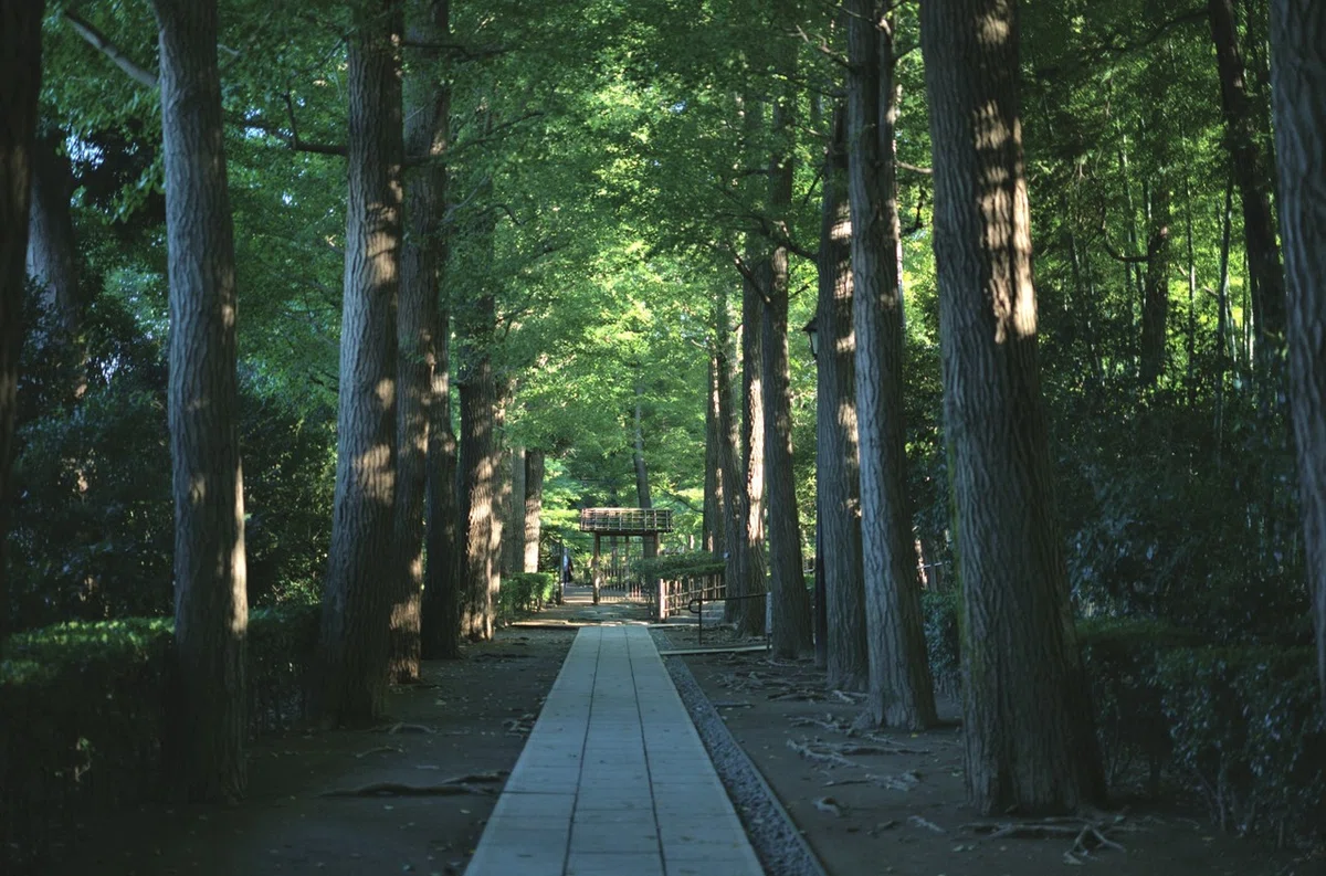 画像5