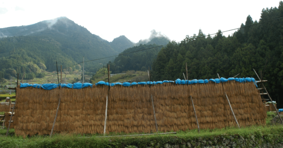 俳句手帖にある季語で一句 10月 紫雲英 Note