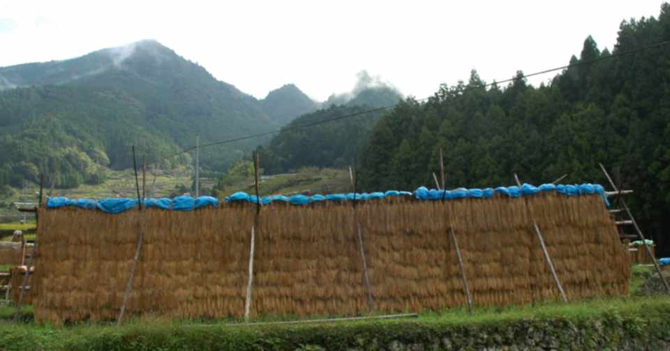 俳句手帖にある 季語 10月 紫雲英 Note