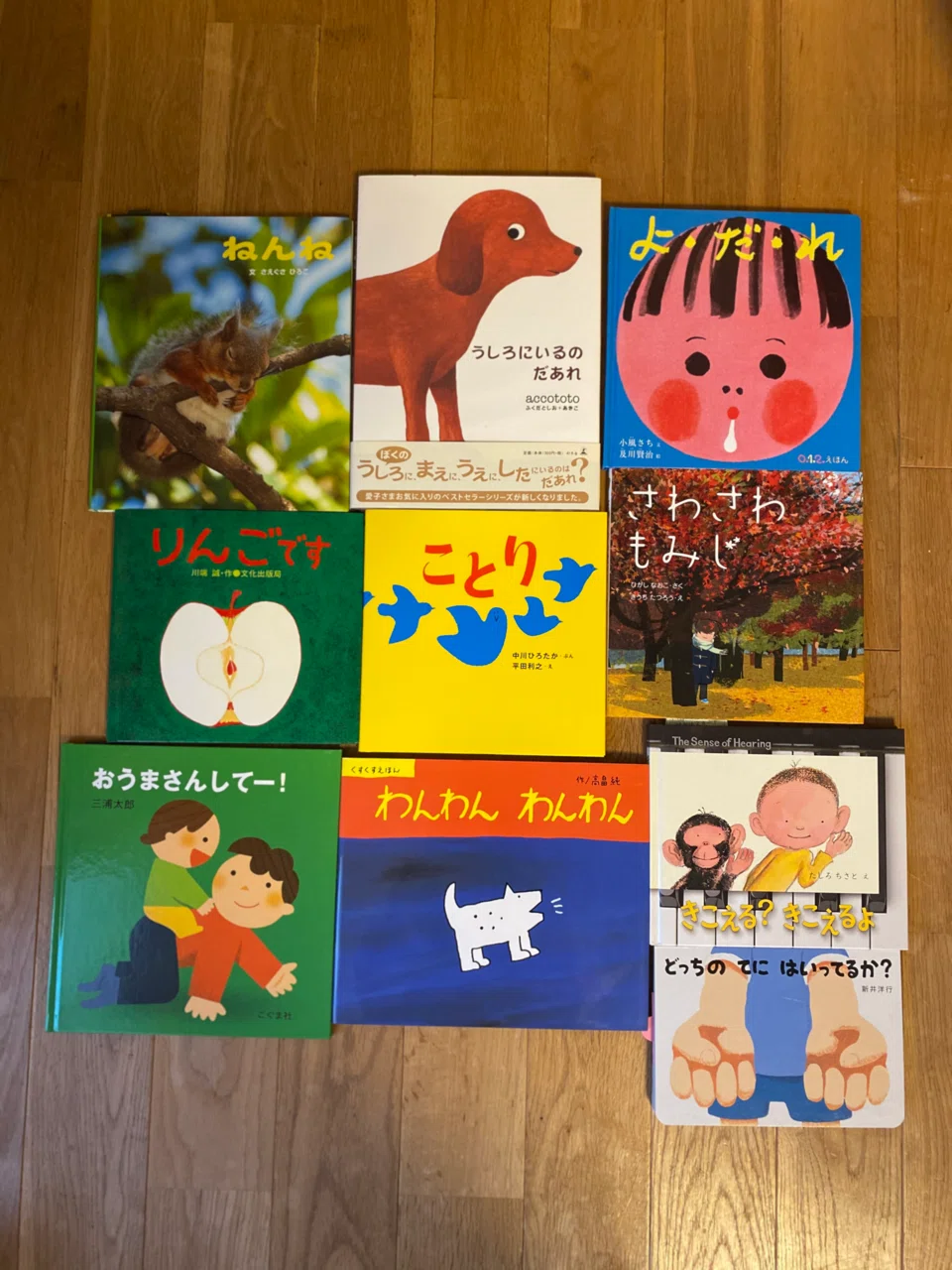 さなえさん選書してください｜内田早苗