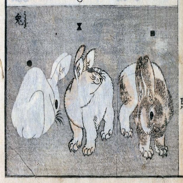 浮世絵のウサギたちをご紹介します 太田記念美術館