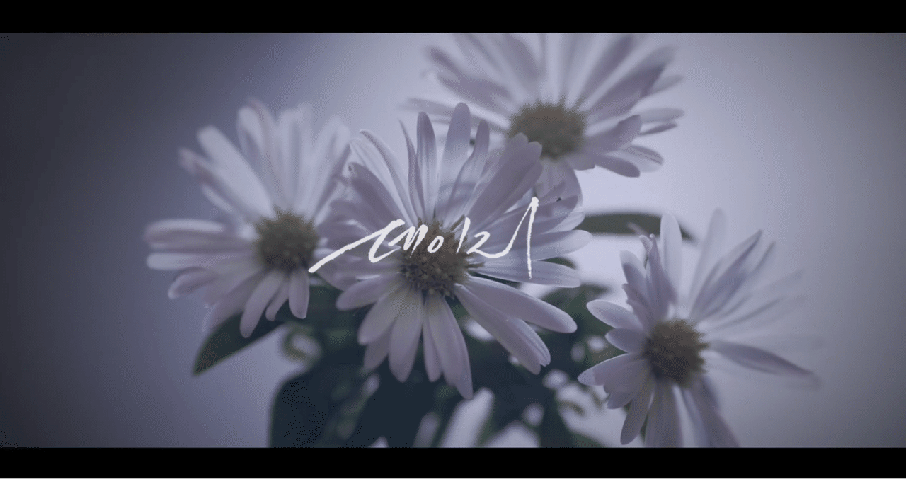 PENTAGON『Daisy』MV考察・解析｜よすなみ