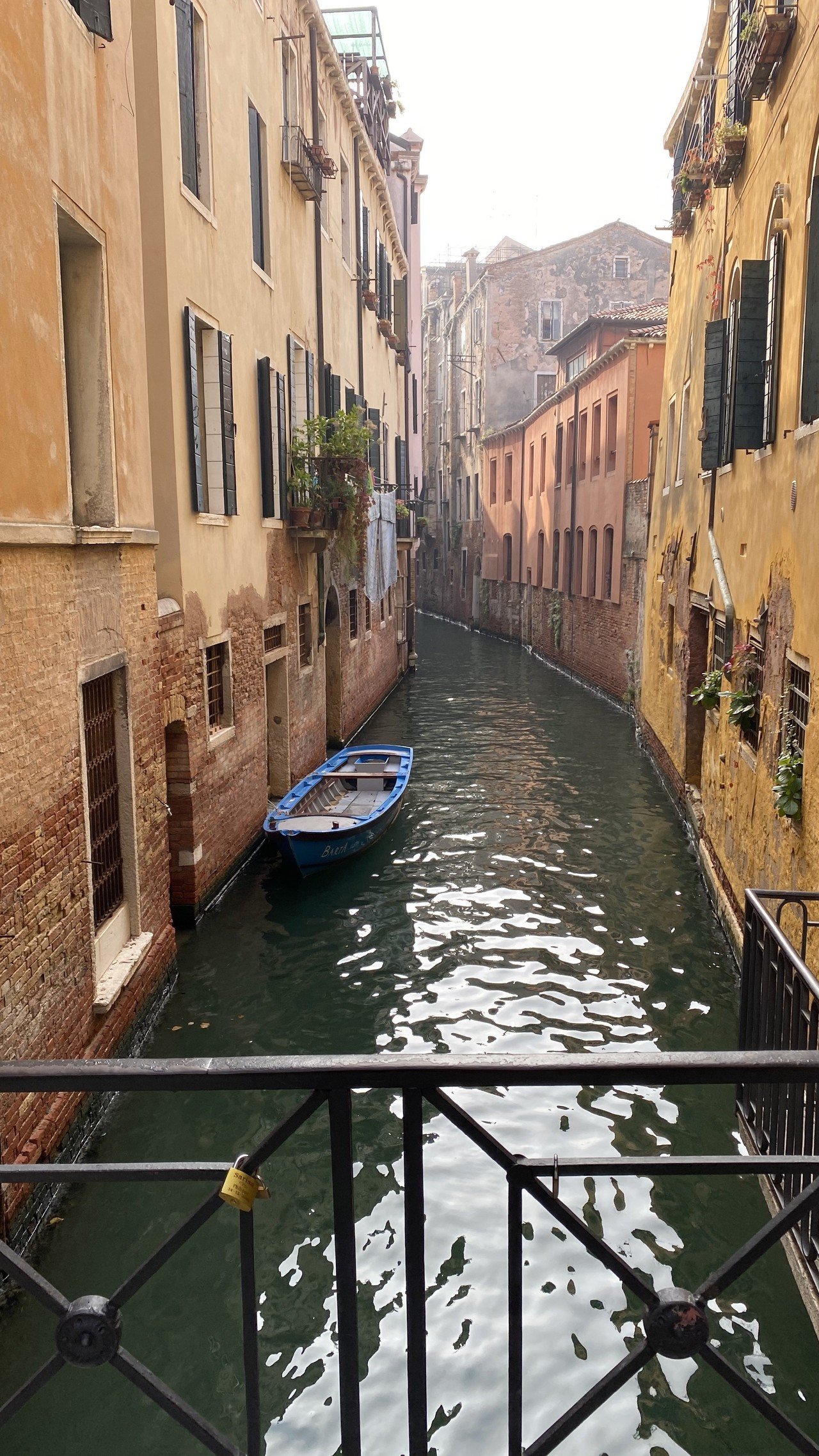 画像162
