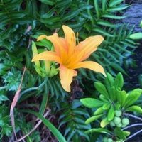 妻に離婚したいと言われて 鬱になってからの日々 Oji 現在仮面夫婦中 Note 妻に離婚したいと言われて 鬱になってからの日々 Oji 現在仮面夫婦中 Note
