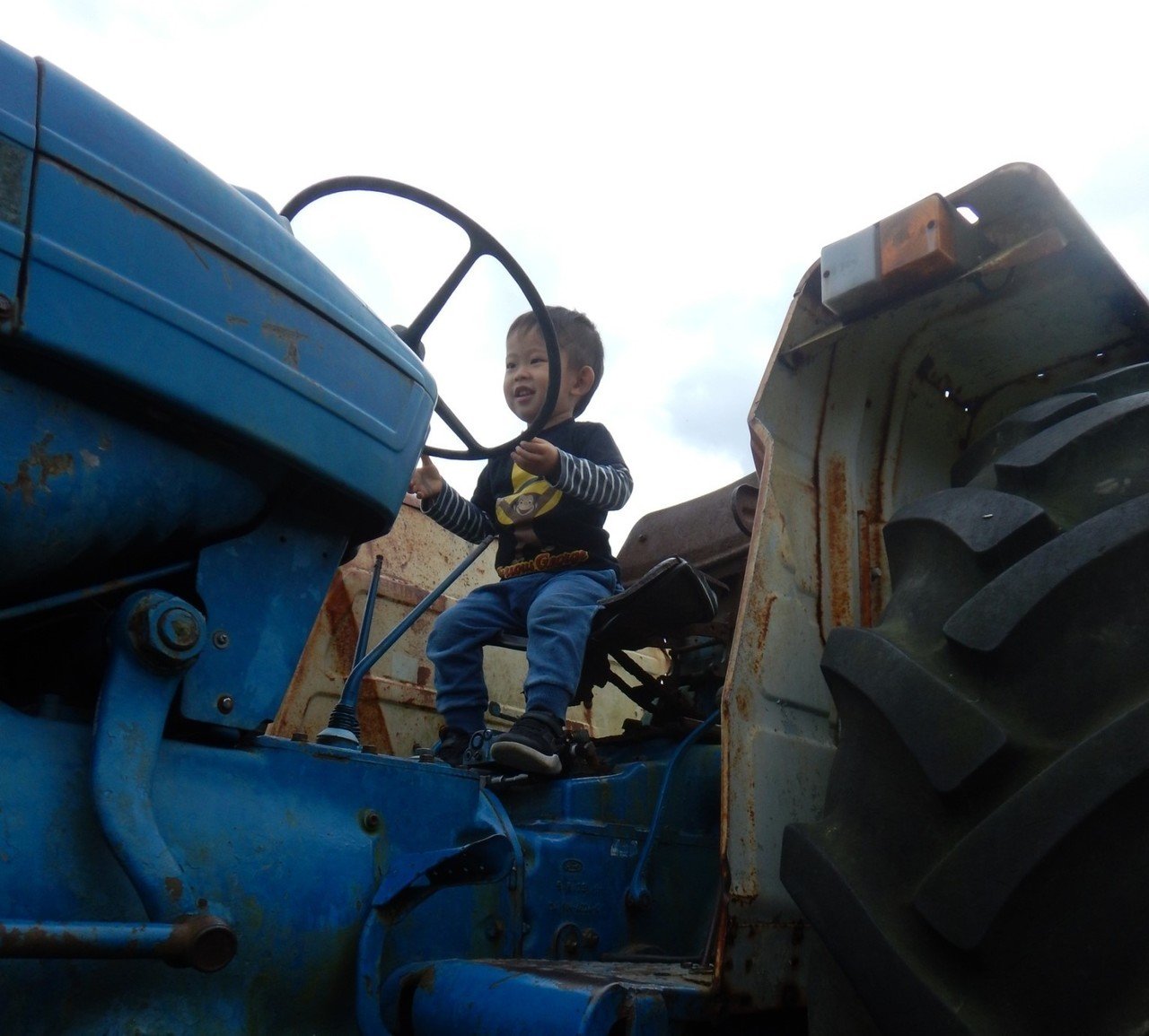 トムミルク_201021ー2