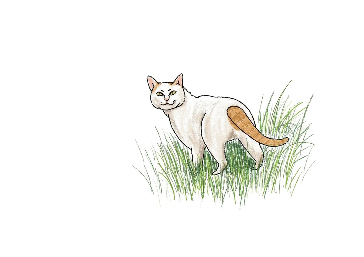 画像67