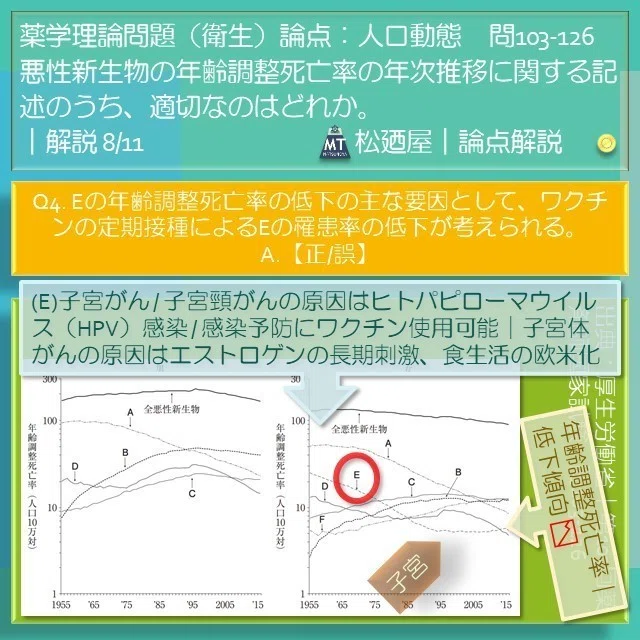 スライド14