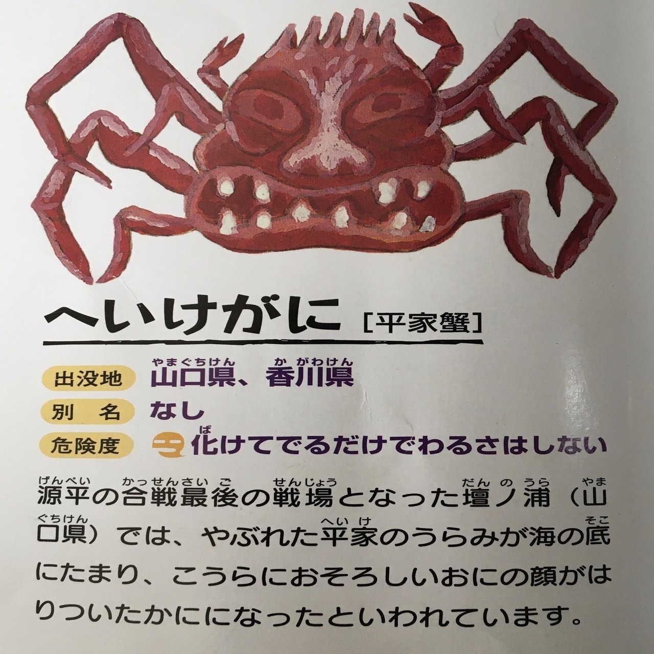 未知との遭遇 海洋生物編 Pirokichi Note