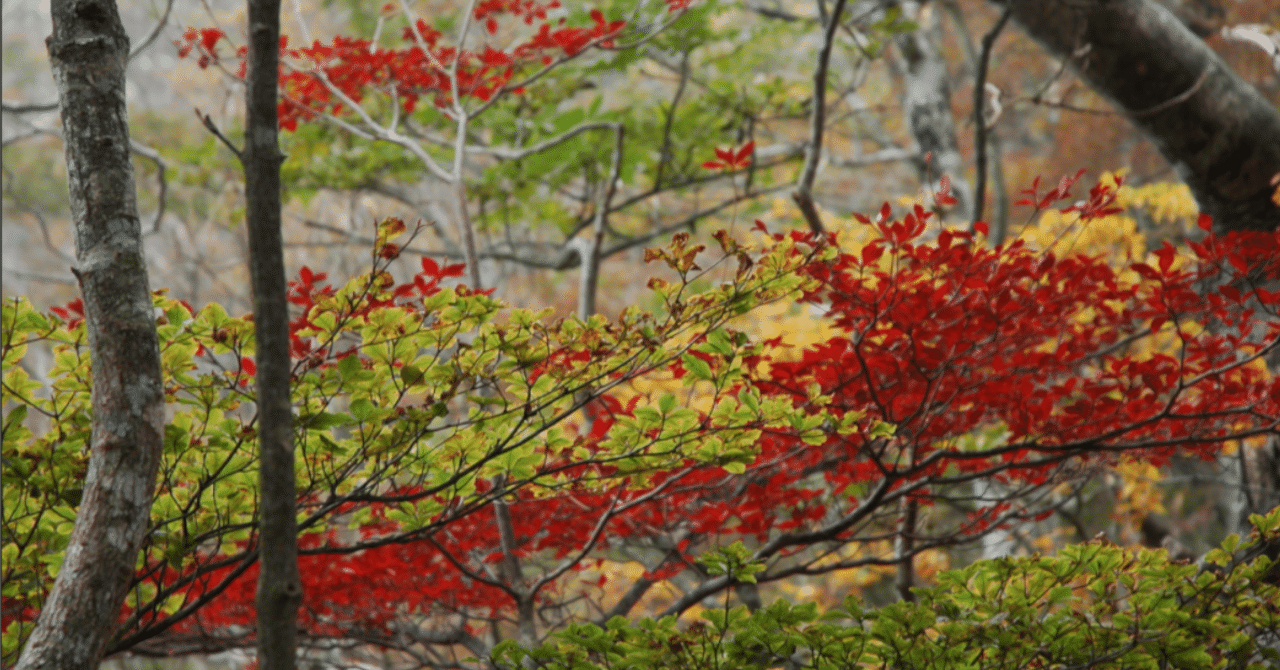 俳句手帖にある季語で一句 11月 紫雲英 Note