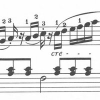 ピアノ歴3 5週 バイエル41番から50番までの感想 メイプルシード Note