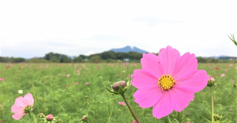 週末どこ行く 下妻市 八千代町近郊のグルメ 音楽イベント情報 Kujuプロダクション Note