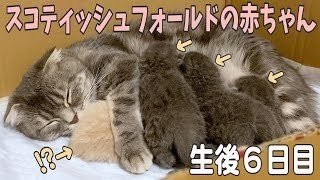 癒しを求めて エブリデイyoutube 中目黒土産店 Note 癒しを求めて エブリデイyoutube 中目黒土産店 Note