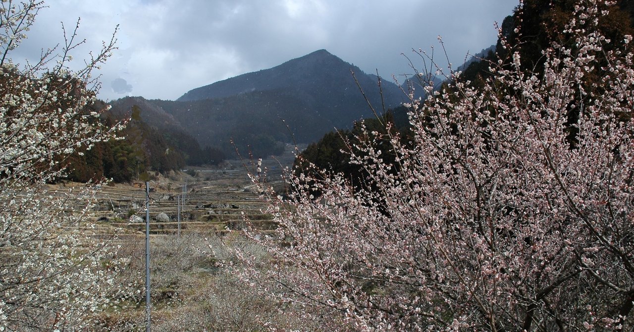 俳句手帖にある 季語 3月 紫雲英 Note