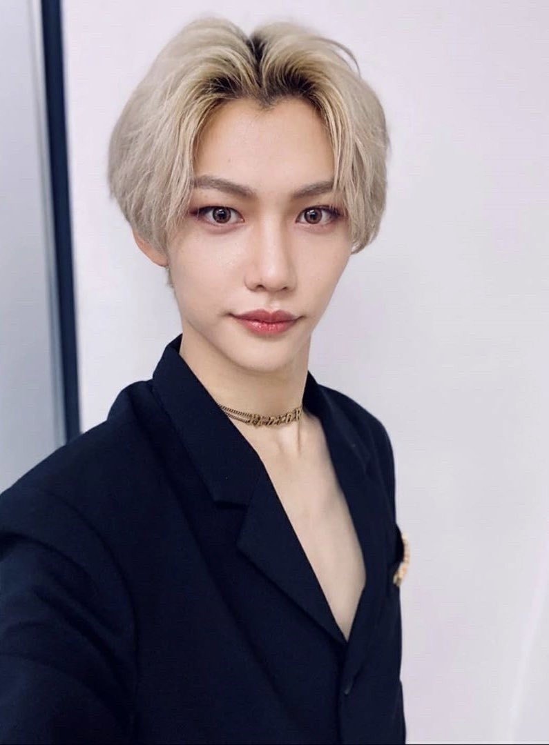 Stray Kids Felixの底なし沼に溺れろ Tamin Note