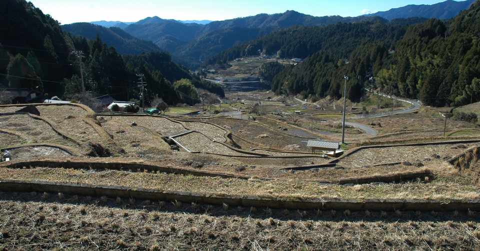 俳句手帖にある 季語 1月 紫雲英 Note