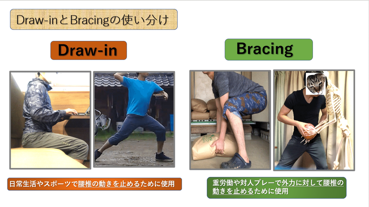 腰部・骨盤帯 第4回 《体幹機能 前編》｜上田浩司（理学療法士）