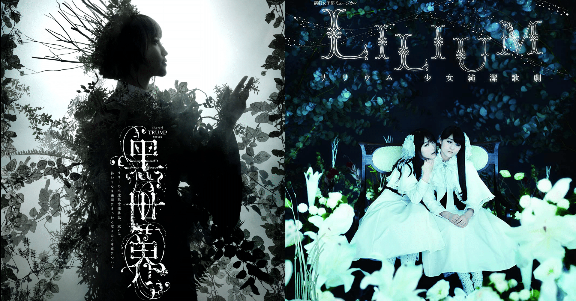 TRUMPシリーズ短編小説集 BLOSSOMS-ブロッサム- LILIUM TRUMPシリーズ小説『BLOSSOMS ブロッサム』 LILIUM リリウム - メルカリ